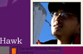 Enneagram Coacher Hawk