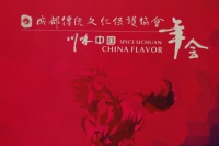 成都传统文化保护协会年会